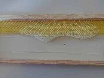 apiculteur 3